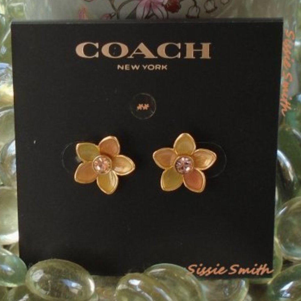 NWT Coach Transparent Wildflower Stud Earrings - Picture 3 of 6
